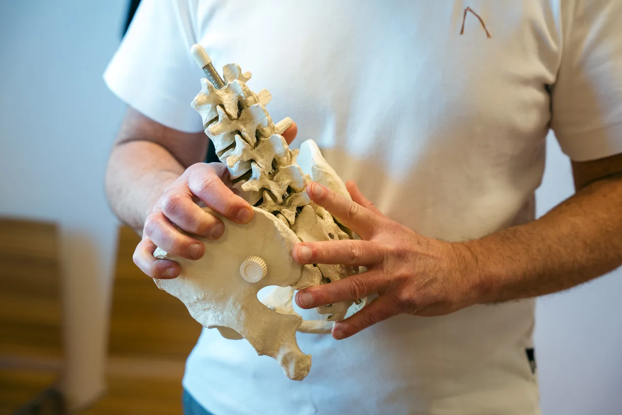 Uitleg met een model van de wervelkolom
